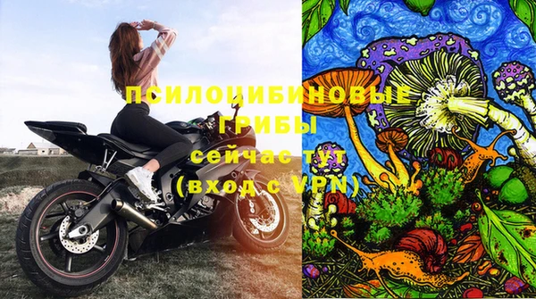 a pvp Алексеевка