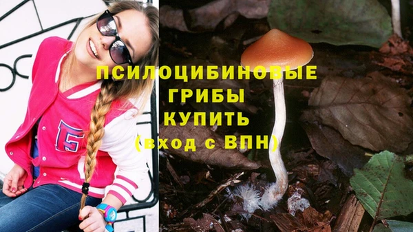 соль ск Арсеньев